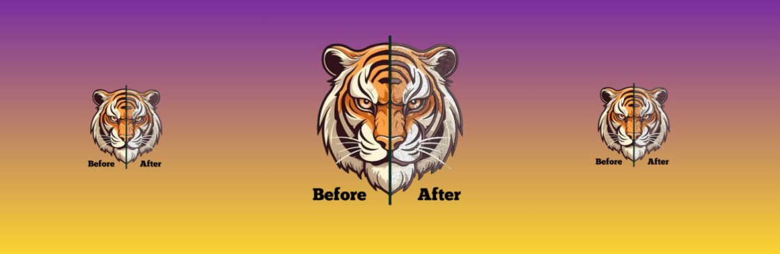 idigitize embroidery Cover Image